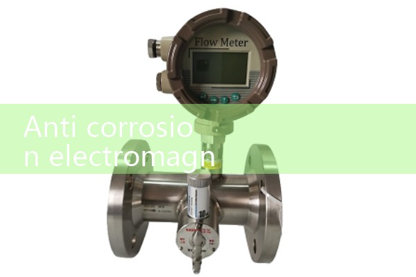 Anti corrosion electromagnetic flowmeter